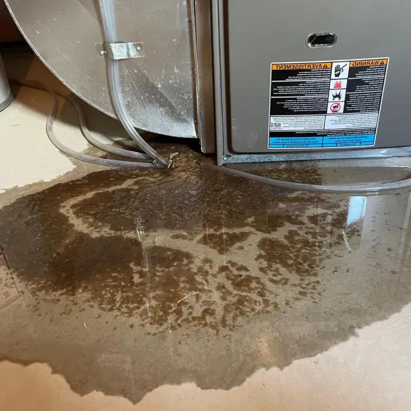 Pipe Burst and Leak Restoration in Gardendale, AL